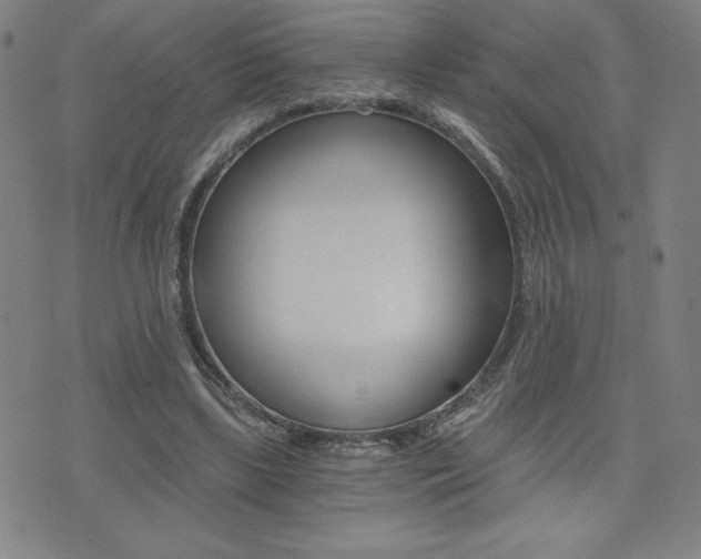 X0000072980443200607211010