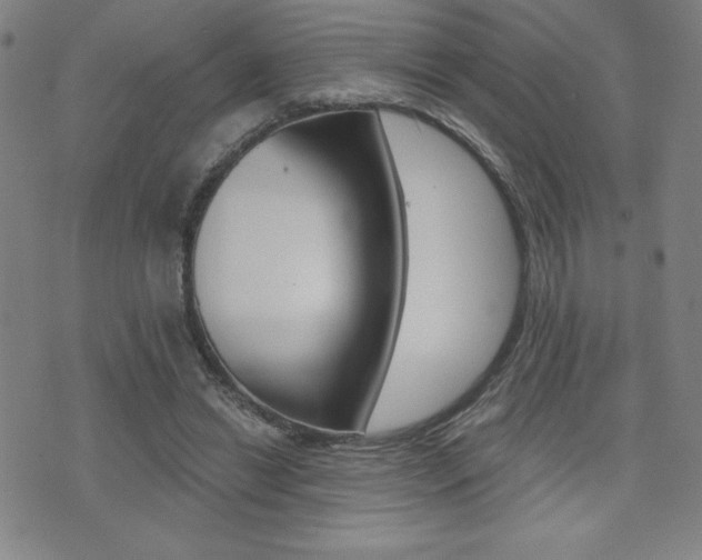 X0000072980446200607211010