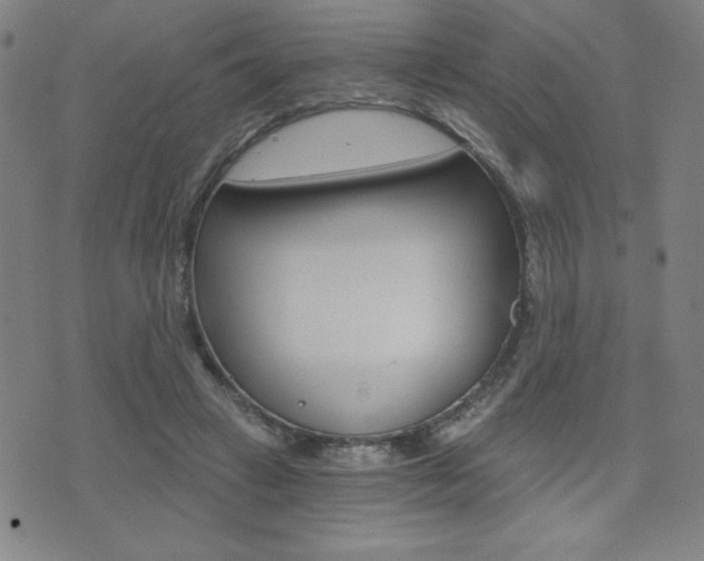 X0000072980449200607211010