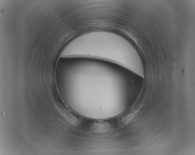 X0000072980455200607211010