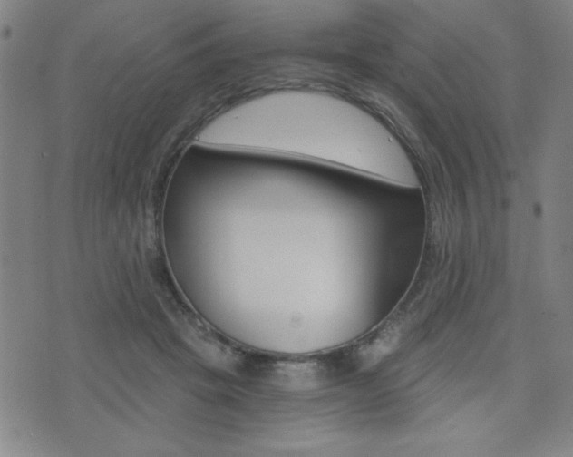 X0000072980457200607211010