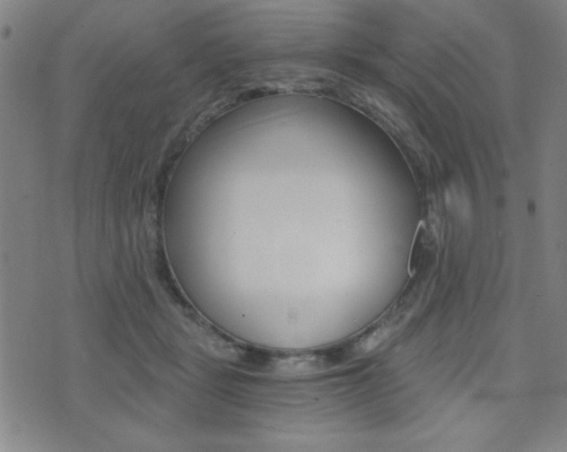 X0000072980461200607211010