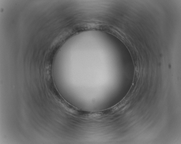 X0000072980462200607211010