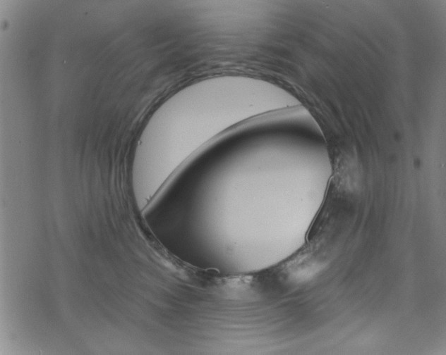 X0000072980474200607211010