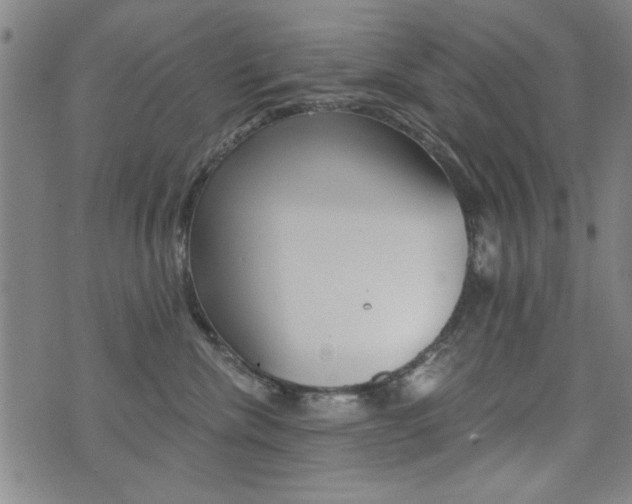 X0000072980476200607211010