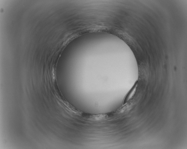 X0000072980479200607211010