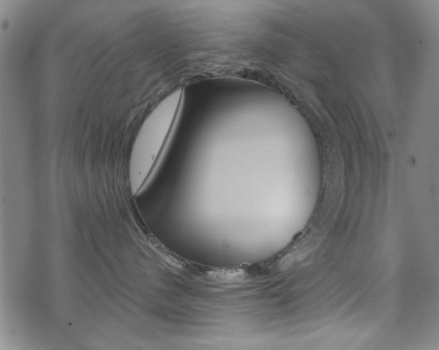 X0000072980480200607211010