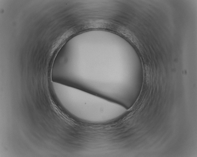 X0000072980482200607211009