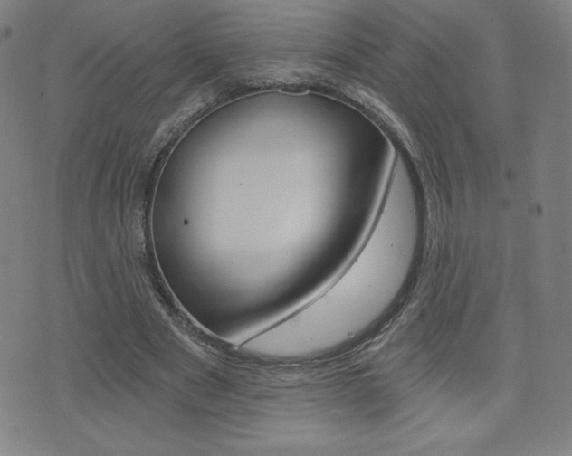 X0000072980489200607211009