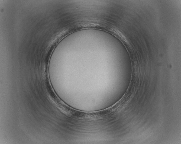 X0000072980490200607211009