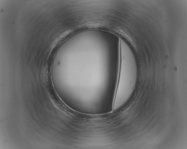 X0000072980492200607211009