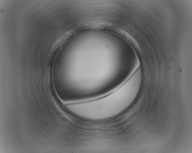 X0000072980493200607211009