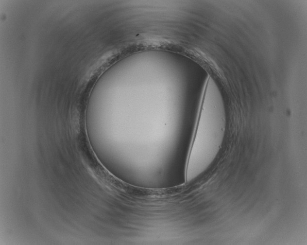 X0000072980496200607211009