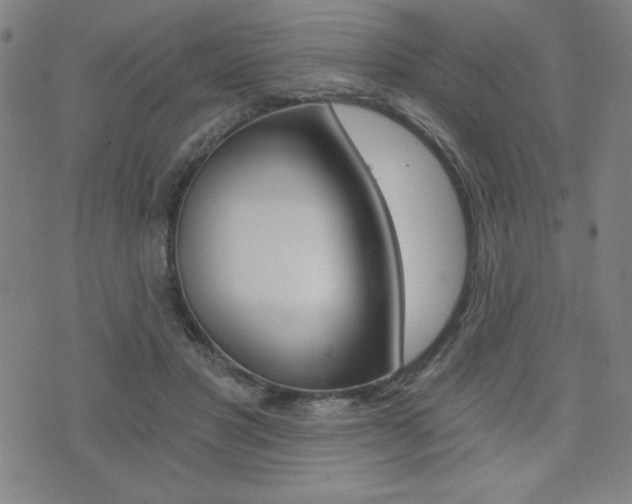 X0000072980501200607211009