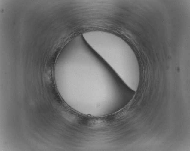 X0000072980503200607211009