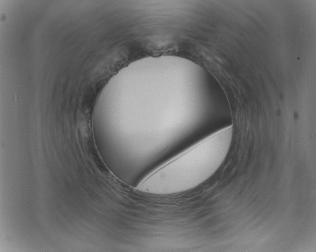 X0000072980515200607211009
