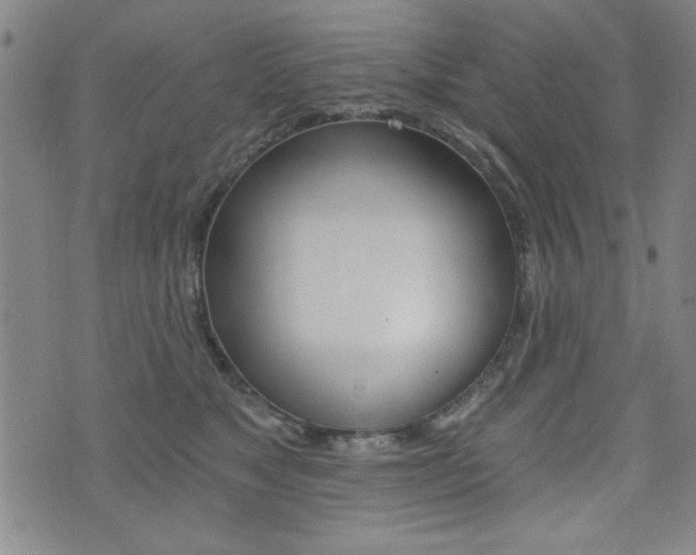 X0000072980517200607211009