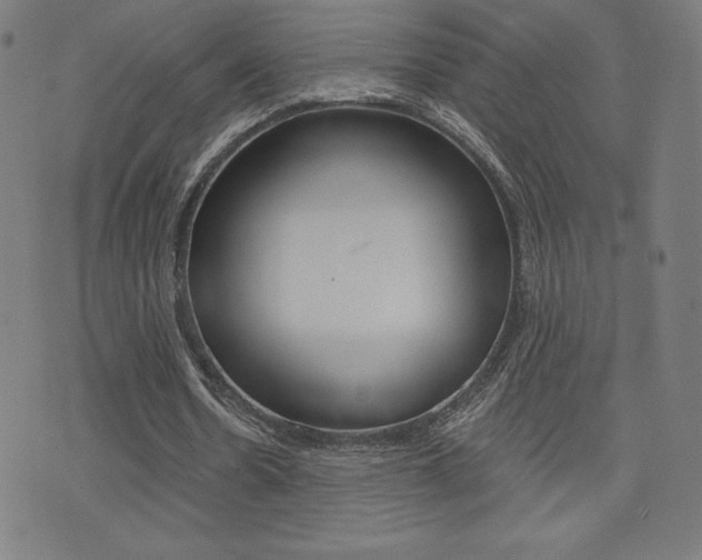 X0000072980530200607211008