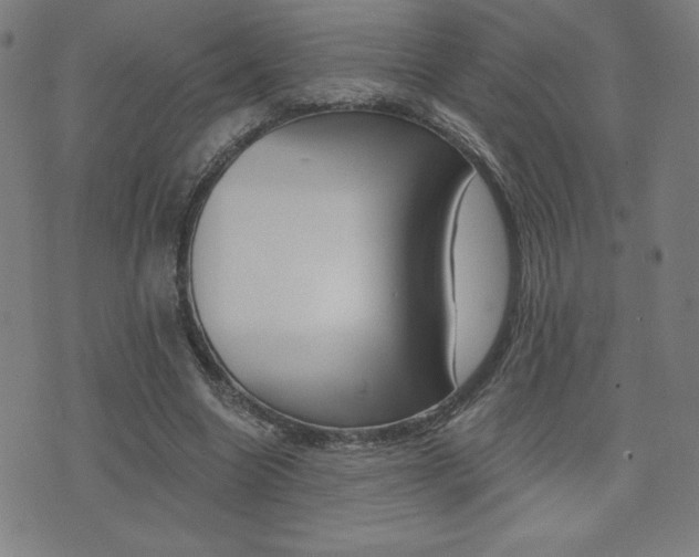 X0000072980538200607211008