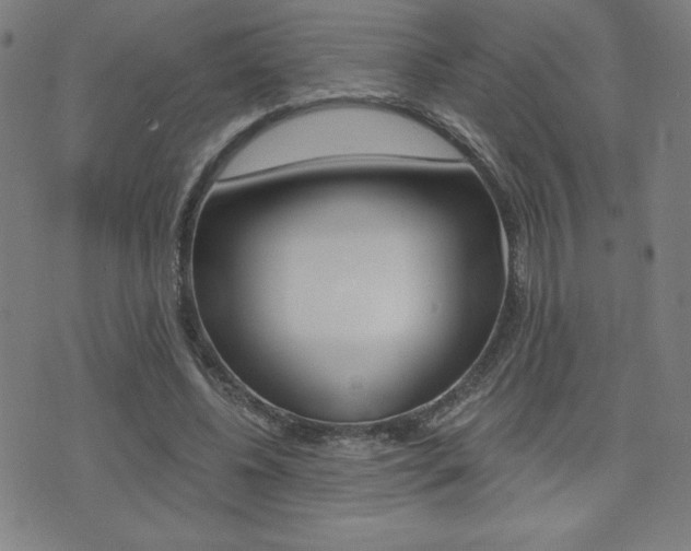 X0000072980540200607211008