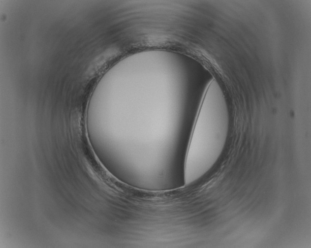 X0000072980542200607211008