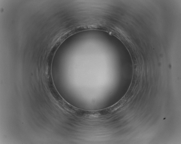 X0000072980548200607211008