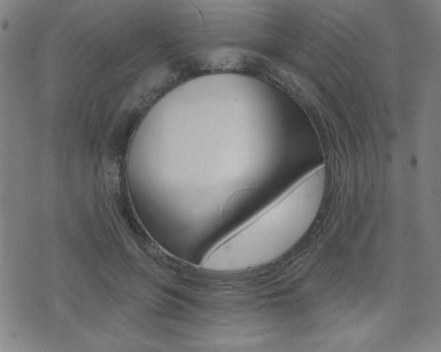 X0000072980551200607211008