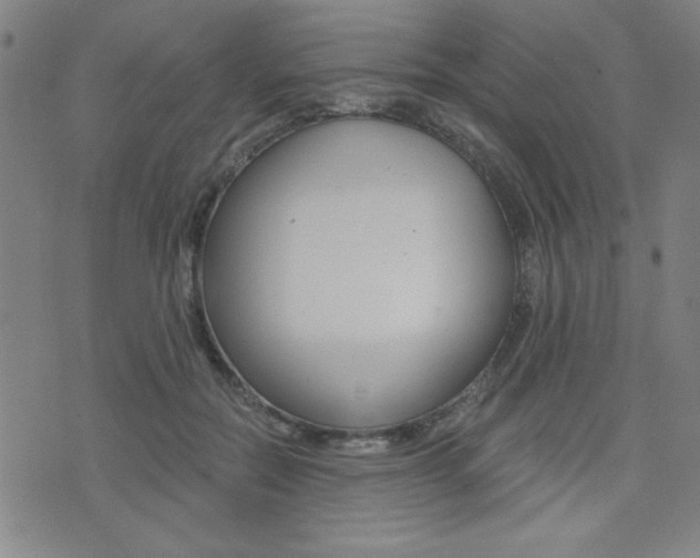 X0000072980554200607211008