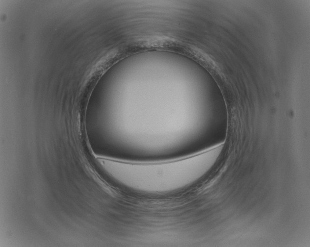 X0000072980589200607211008