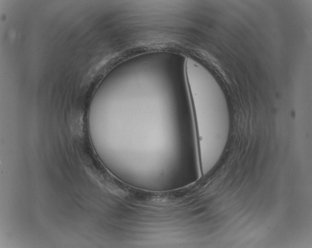 X0000072980596200607211008