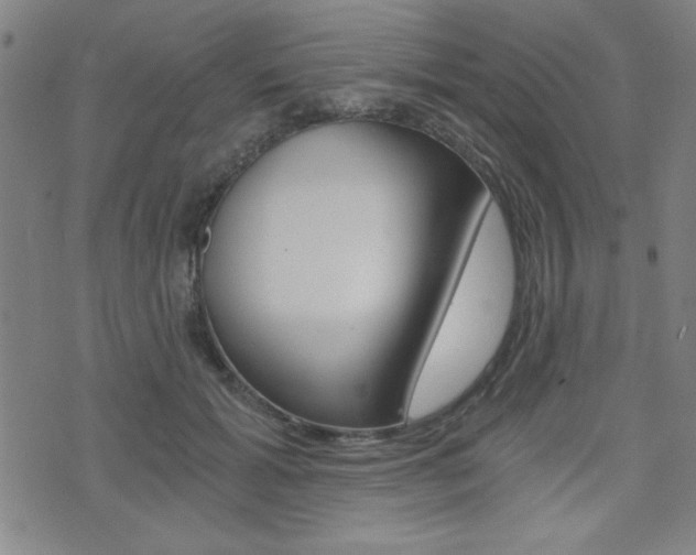 X0000072980605200607211007