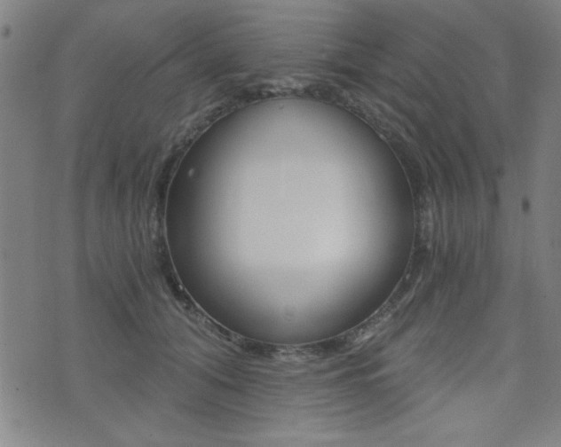 X0000072980608200607211007