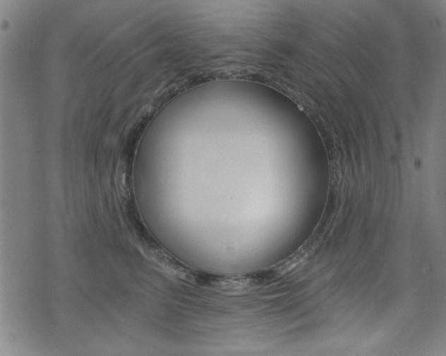 X0000072980615200607211007