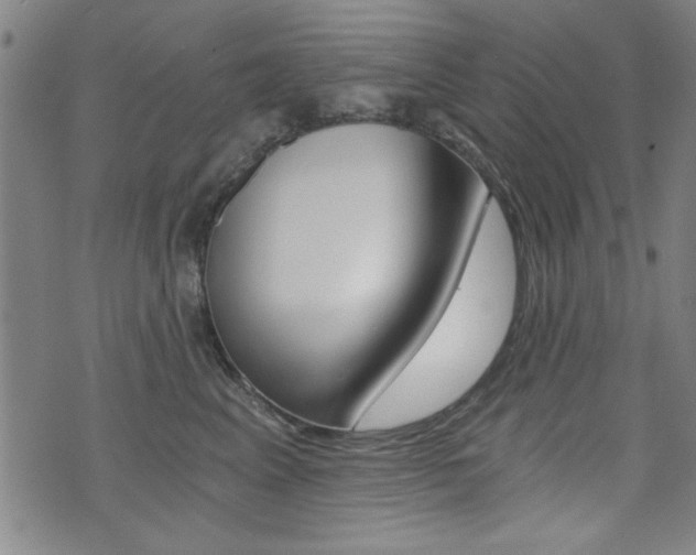 X0000072980617200607211007