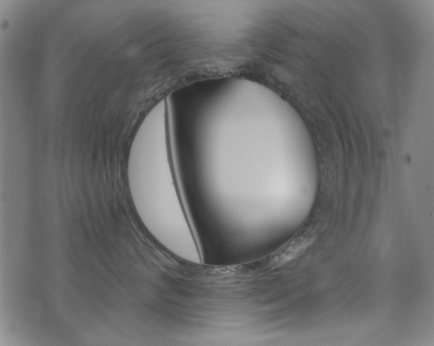 X0000072980624200607211007