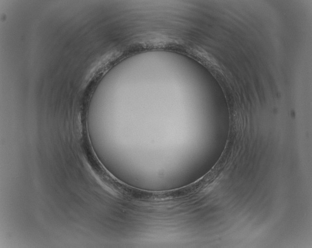 X0000072980638200607211006