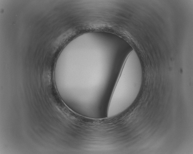 X0000072980640200607211007