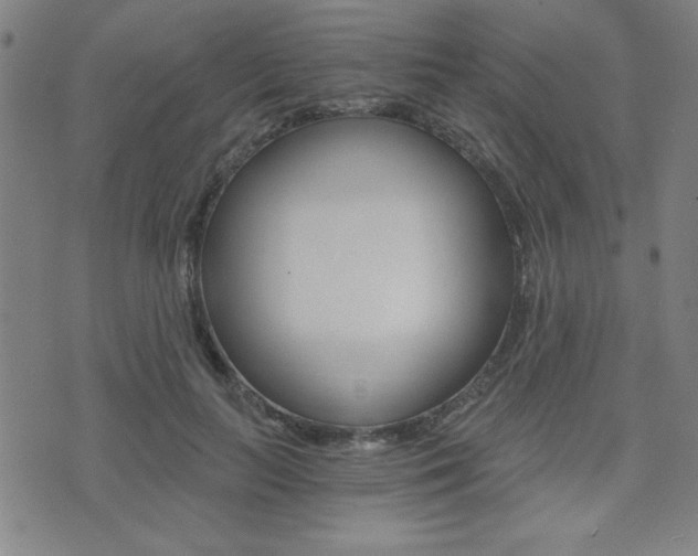 X0000072980647200607211007