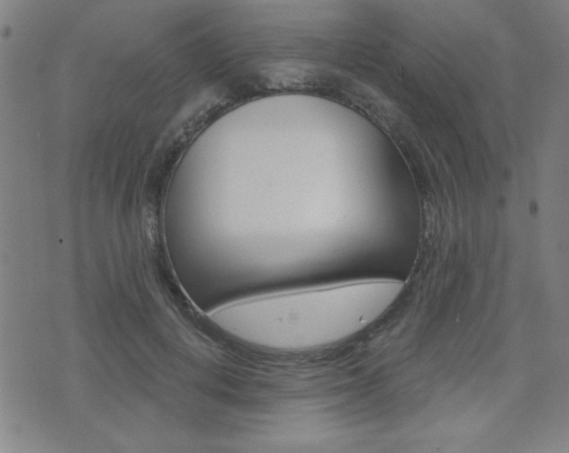 X0000072980648200607211007