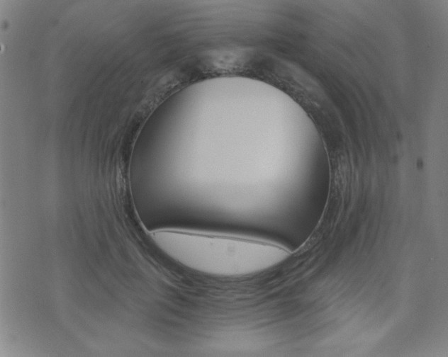 X0000072980651200607211007