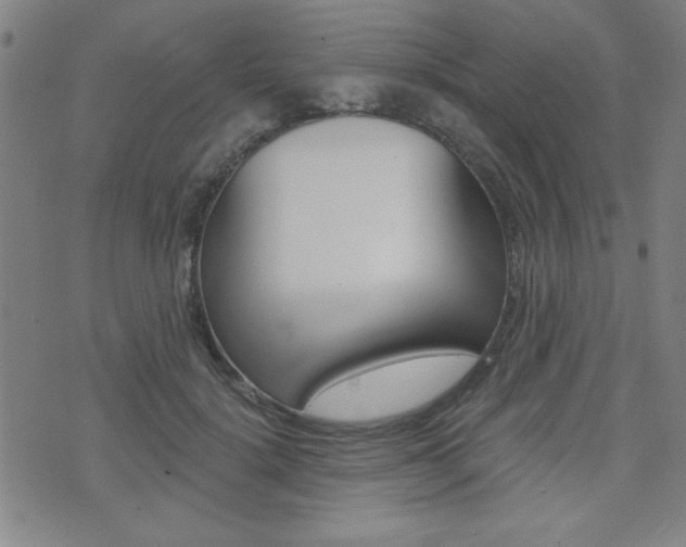 X0000072980652200607211007