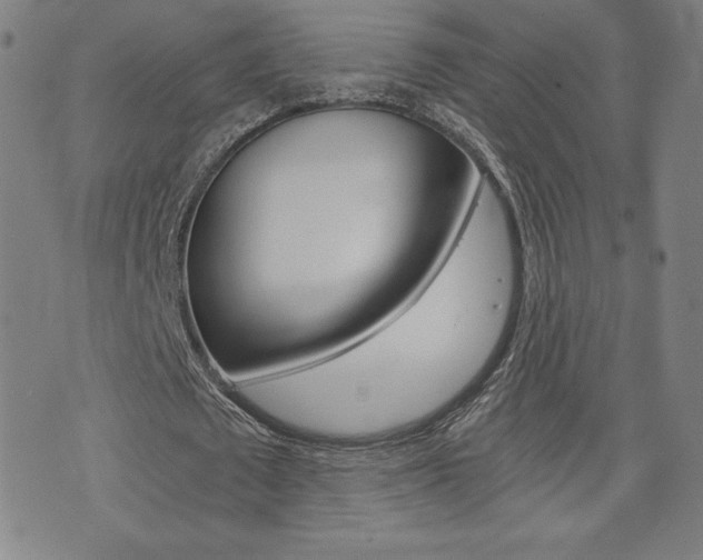 X0000072980673200607211006