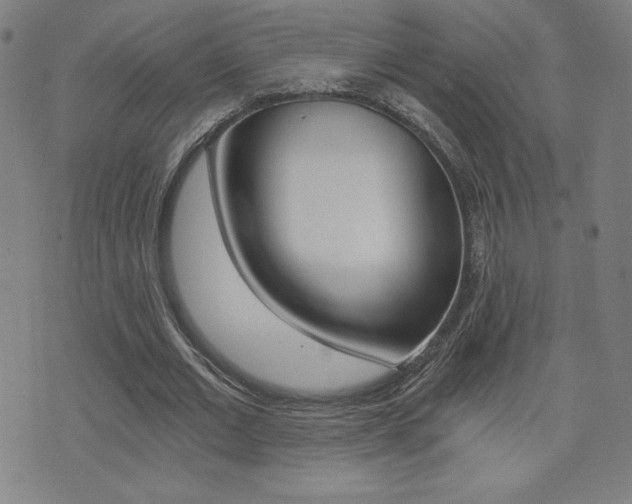 X0000072980677200607211006