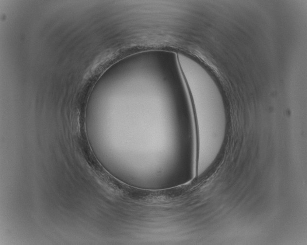 X0000072980685200607211006