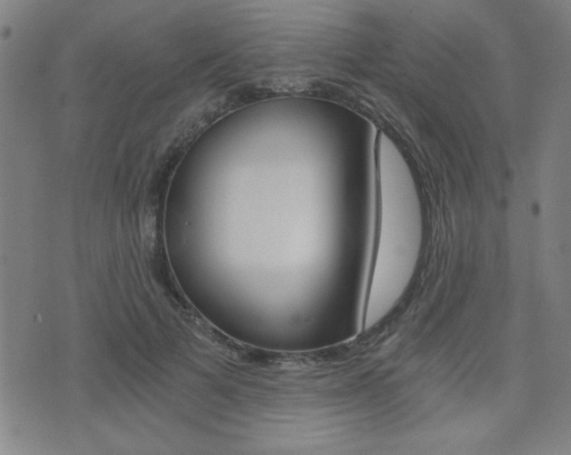 X0000072980697200607211006