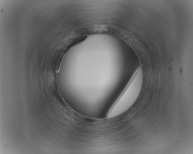 X0000072980704200607211006