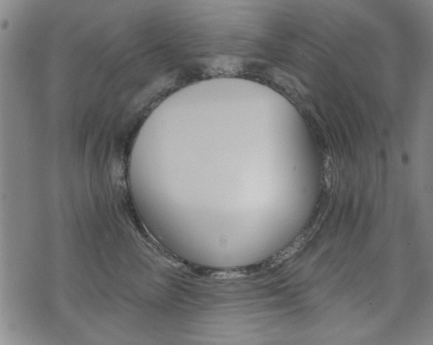 X0000072980714200607211006