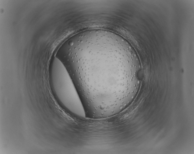 X0000072980721200607211005