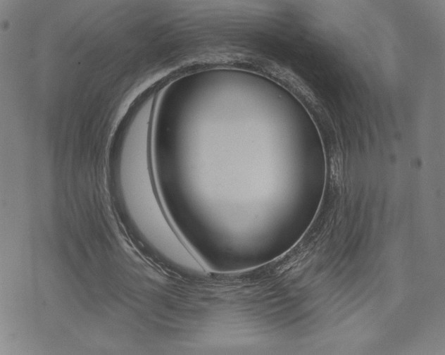 X0000072980724200607211005
