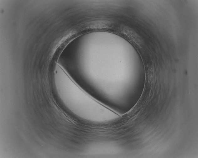 X0000072980727200607211005